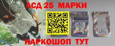 Альфа ПВП Кандалакша