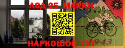 Альфа ПВП Кандалакша