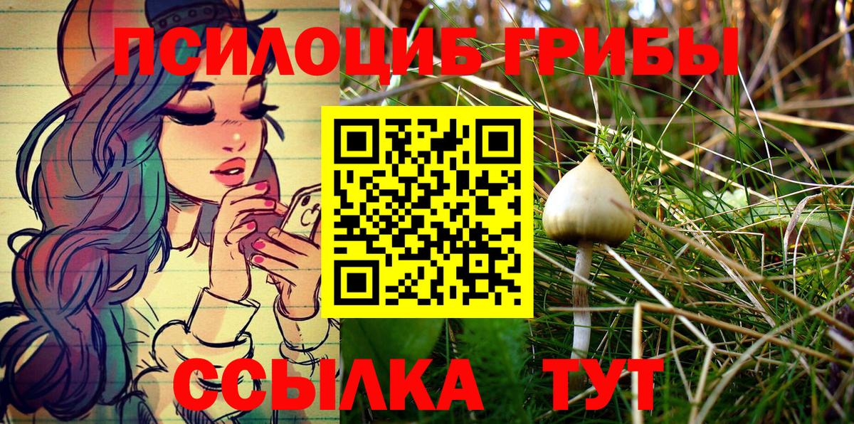 Галлюциногенные грибы Psilocybe Красный Сулин